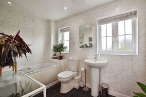 Photo 11- click for photo gallery